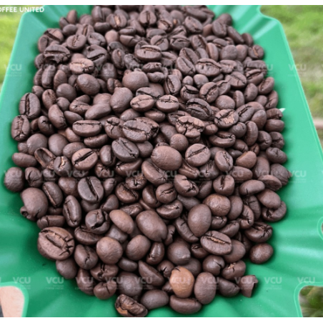 قهوه عمده روبوستا